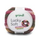 Gründl Lucky Soft,1 Knäuel=1Loop,200 g/544m,70% Polyacryl/30% Wolle