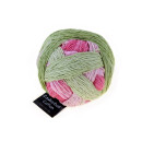 Schoppel Zauberball Cotton,100g/420m 100%Baumwolle NS 2-3 2504 Cotton Strandläufer