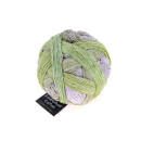 Schoppel Zauberball Cotton,100g/420m 100%Baumwolle NS 2-3 2504 Cotton Strandläufer