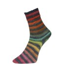 Woolly Hugs Paint Socks von Veronika Hug,4-fädig,100g/420 m,75% Schurwolle/25% Polyamid,2 identische Socken stricken, (203 REGENBOGEN)