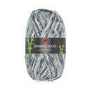 Pro Lana Bamboo Socks,100g/63 % Polyacryl / 30 % Viskose 7 % Polyester (Elitè)