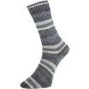 Pro Lana Golden Socks Wiesental ca. 420 m col. 602 100 g