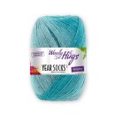 Woolly Hugs Year Socks 100g Sockenwolle/Dochtgarn mit...