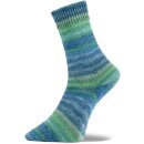 Woolly Hugs Weltrekord Sockenwolle 4-fädig 75% Schurwolle/25% Polyamid 420m/100g 05 | grün/blau