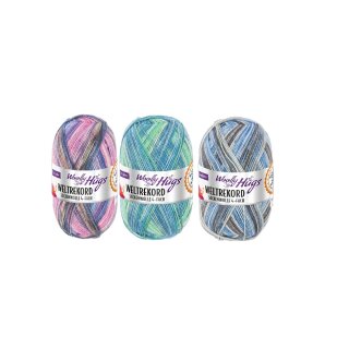 Woolly Hugs Weltrekord Sockenwolle, 100g, 75% Schurwolle & 25% Polyamid, 420m Lauflänge, Strapazierfähiges Sockengarn, Sparpakete (3-er Set (04,05,06))