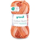 Gründl Cotton quick print,50g/125m,100%...