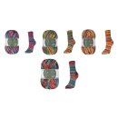 Flotte Socke 4f. Legato Sockenwolle Sparpaket...