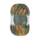 Flotte Socke 4f. Legato Sockenwolle Sparpaket 4x100g,Schurwolle