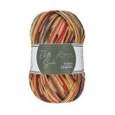 Flotte Socke 4f. Legato Sockenwolle Sparpaket 4x100g,Schurwolle