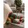 Rellana Flotte Socke Christmas Sockenwolle 4-fach ohne Glitzer,100g 420 m