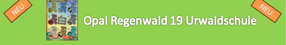 Regenwald_Urwaldschule